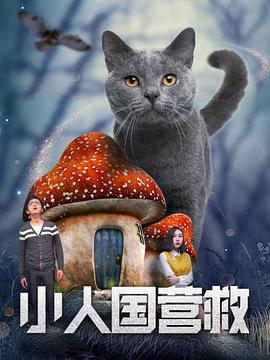 高清影视
