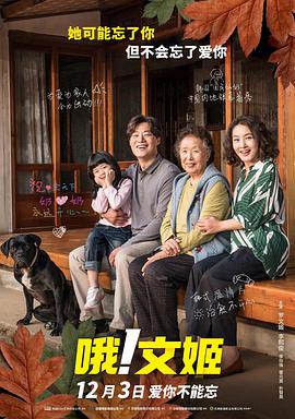 清晰在线播放观看