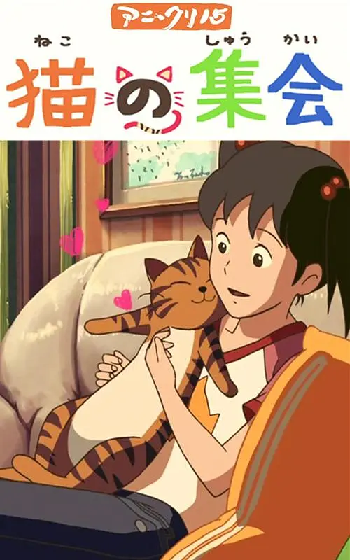 1080HD高清在线观看