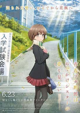 1080P手机在线看