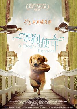 DVD高清完整版