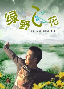 手机免费播放