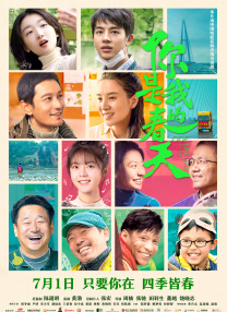 BD国语高清完整版