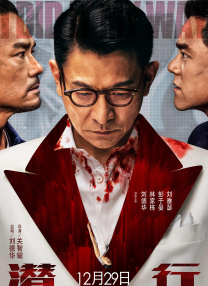 完结完整版观看