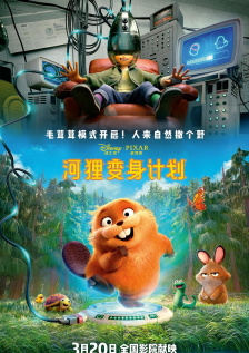 完结高清影视